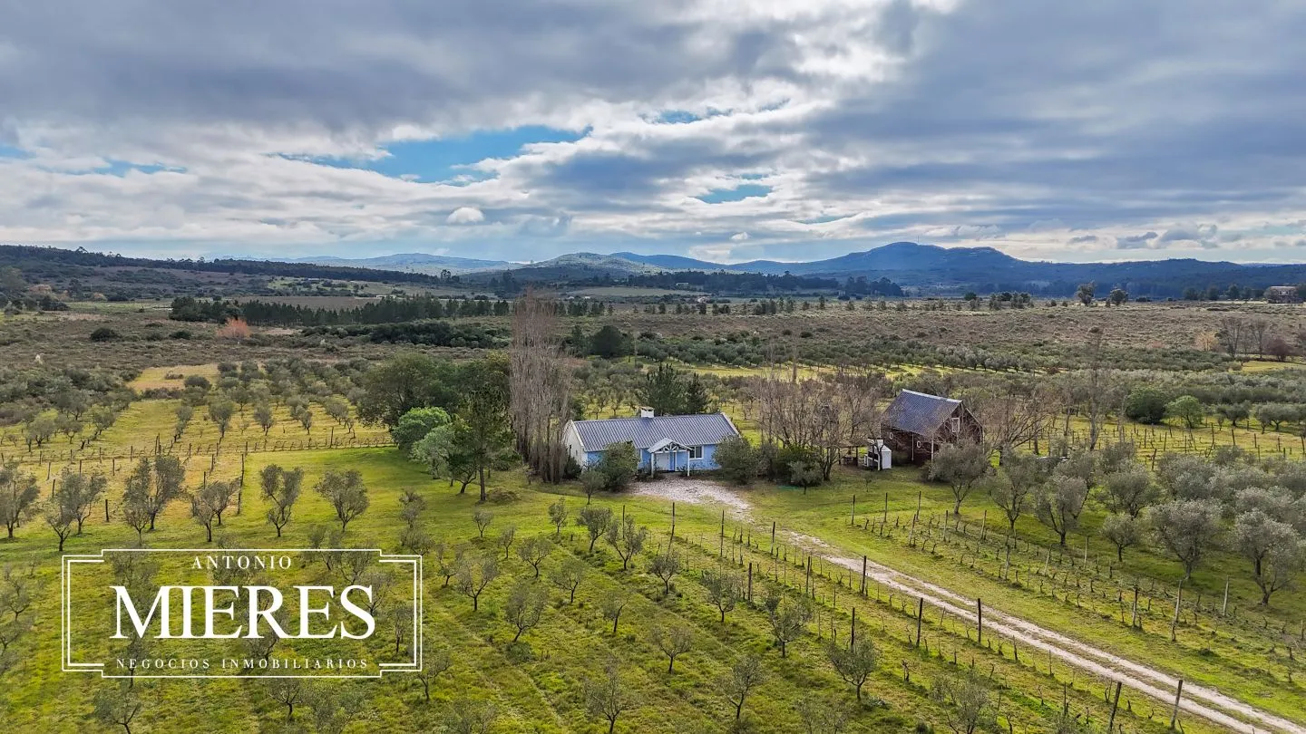 Chacra en venta de 5 ha con vista a sierras las animas — foto 26