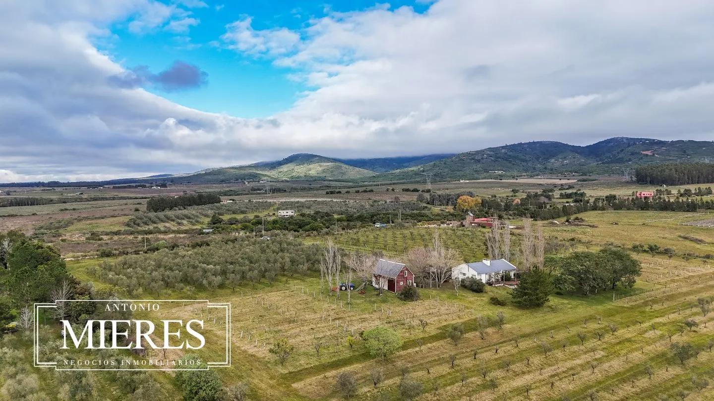 Chacra en venta de 5 ha con vista a sierras las animas — foto 27