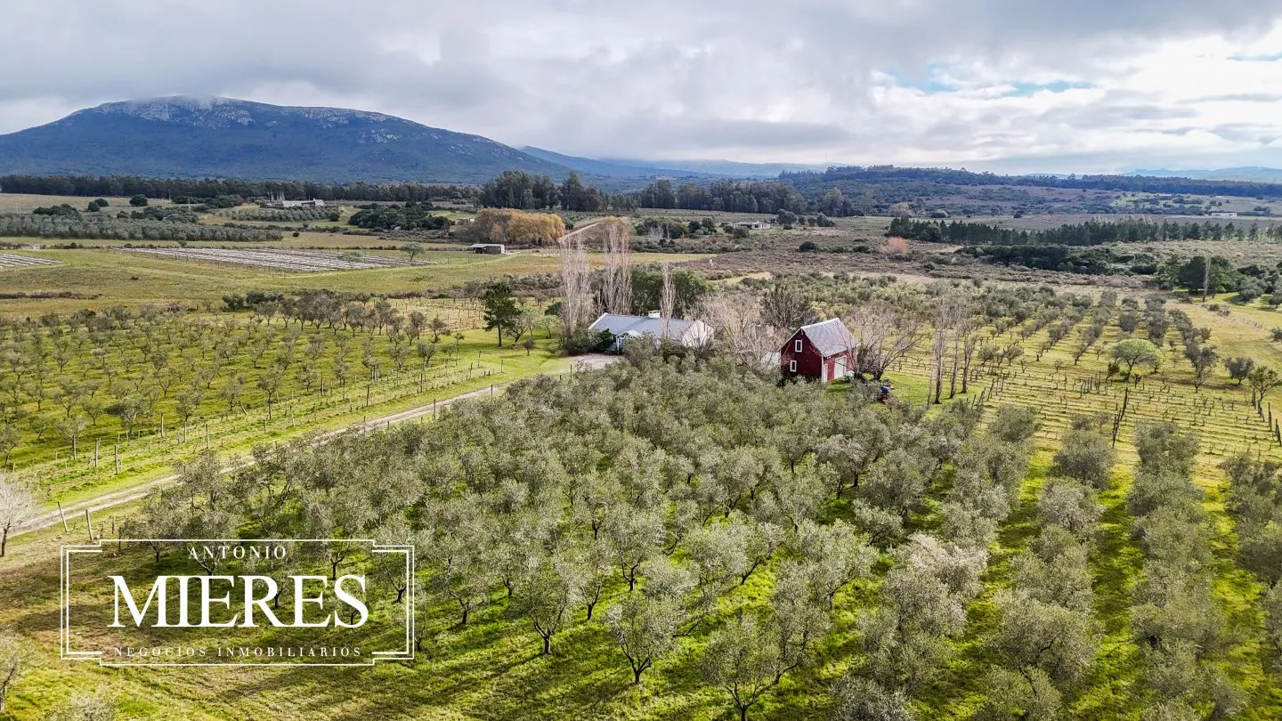Chacra en venta de 5 ha con vista a sierras las animas — foto 28