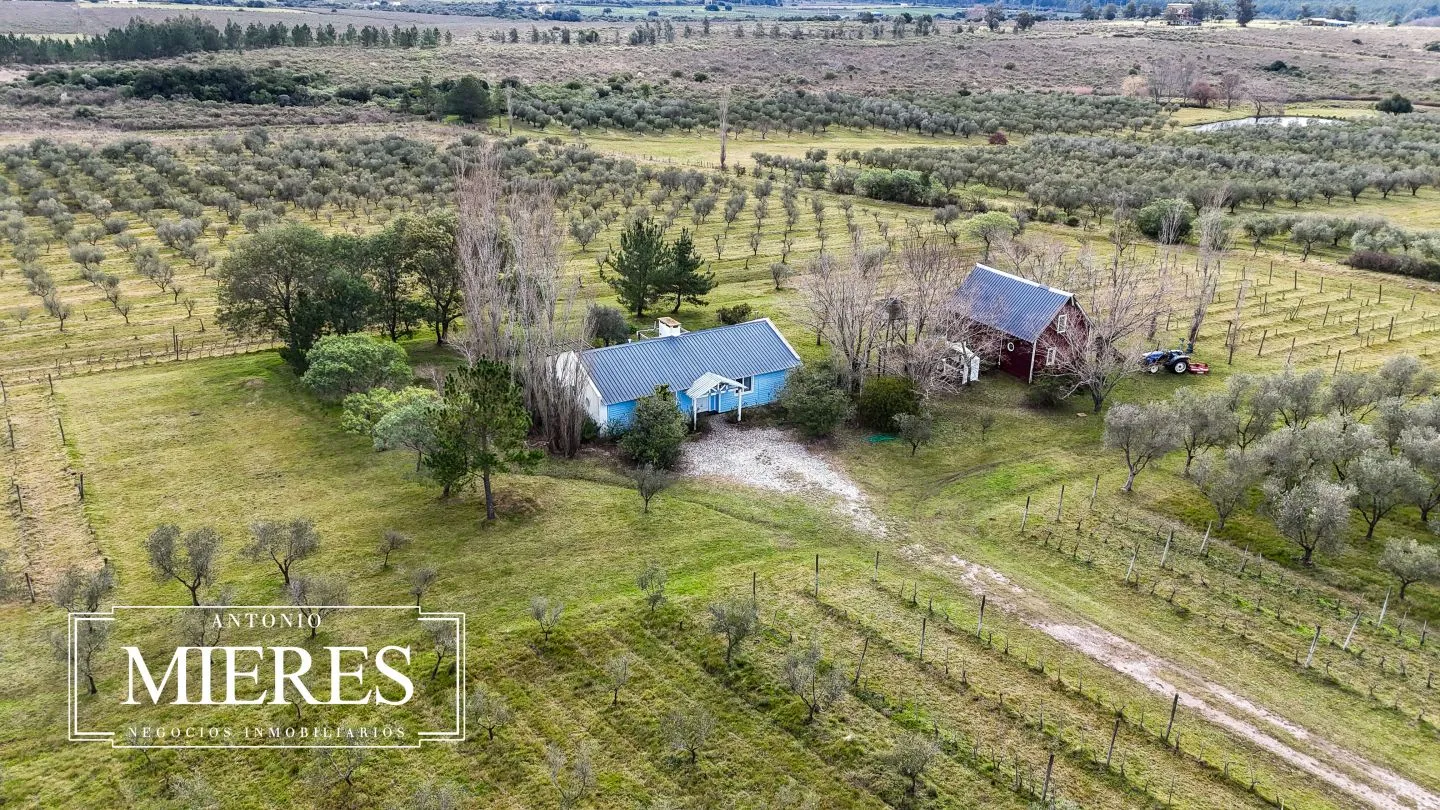 Chacra en venta de 5 ha con vista a sierras las animas — foto 29