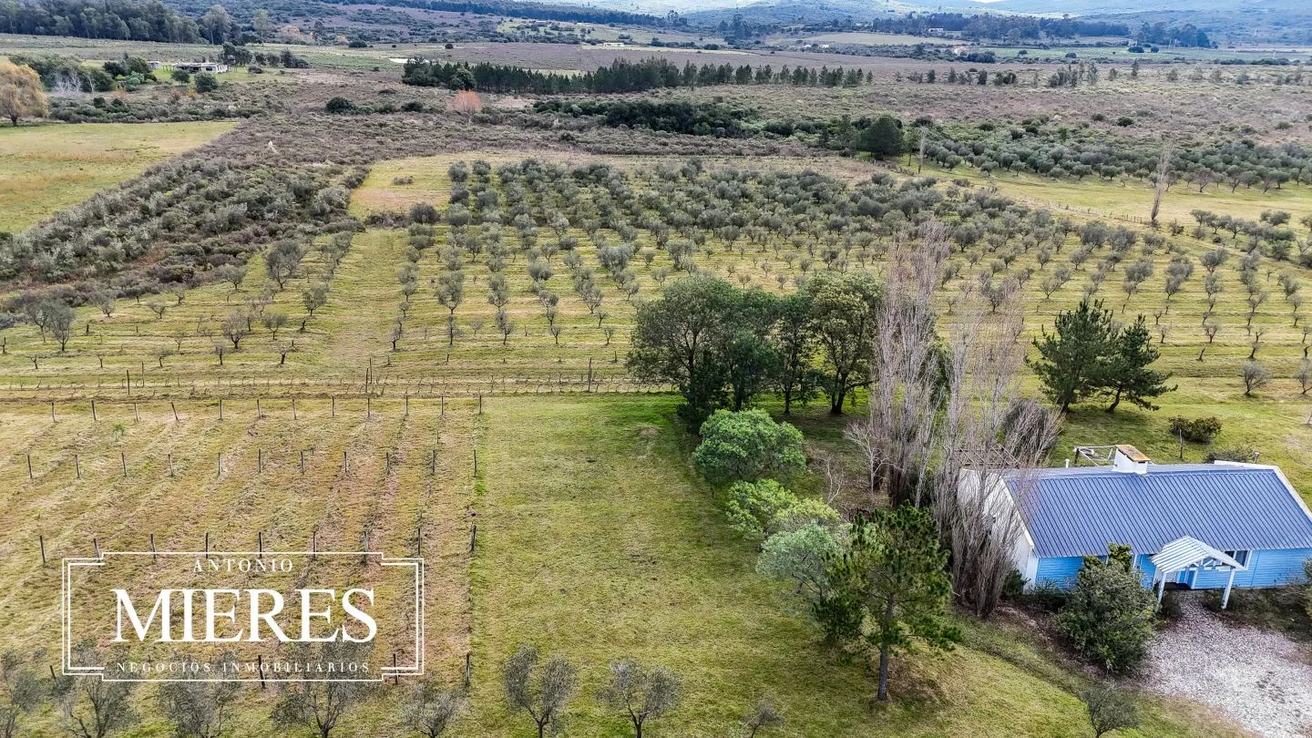 Chacra en venta de 5 ha con vista a sierras las animas — foto 30