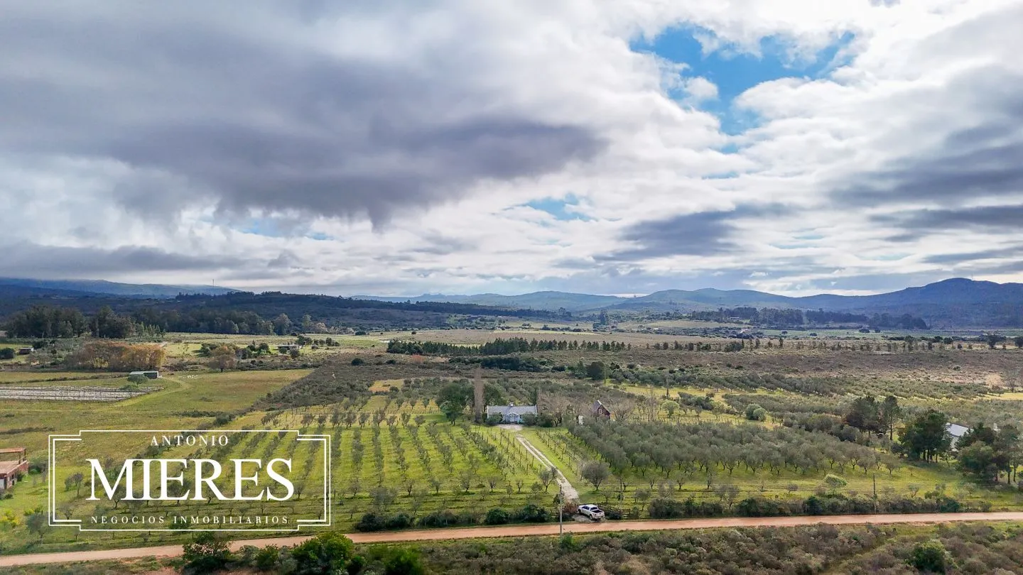Chacra en venta de 5 ha con vista a sierras las animas — foto 43