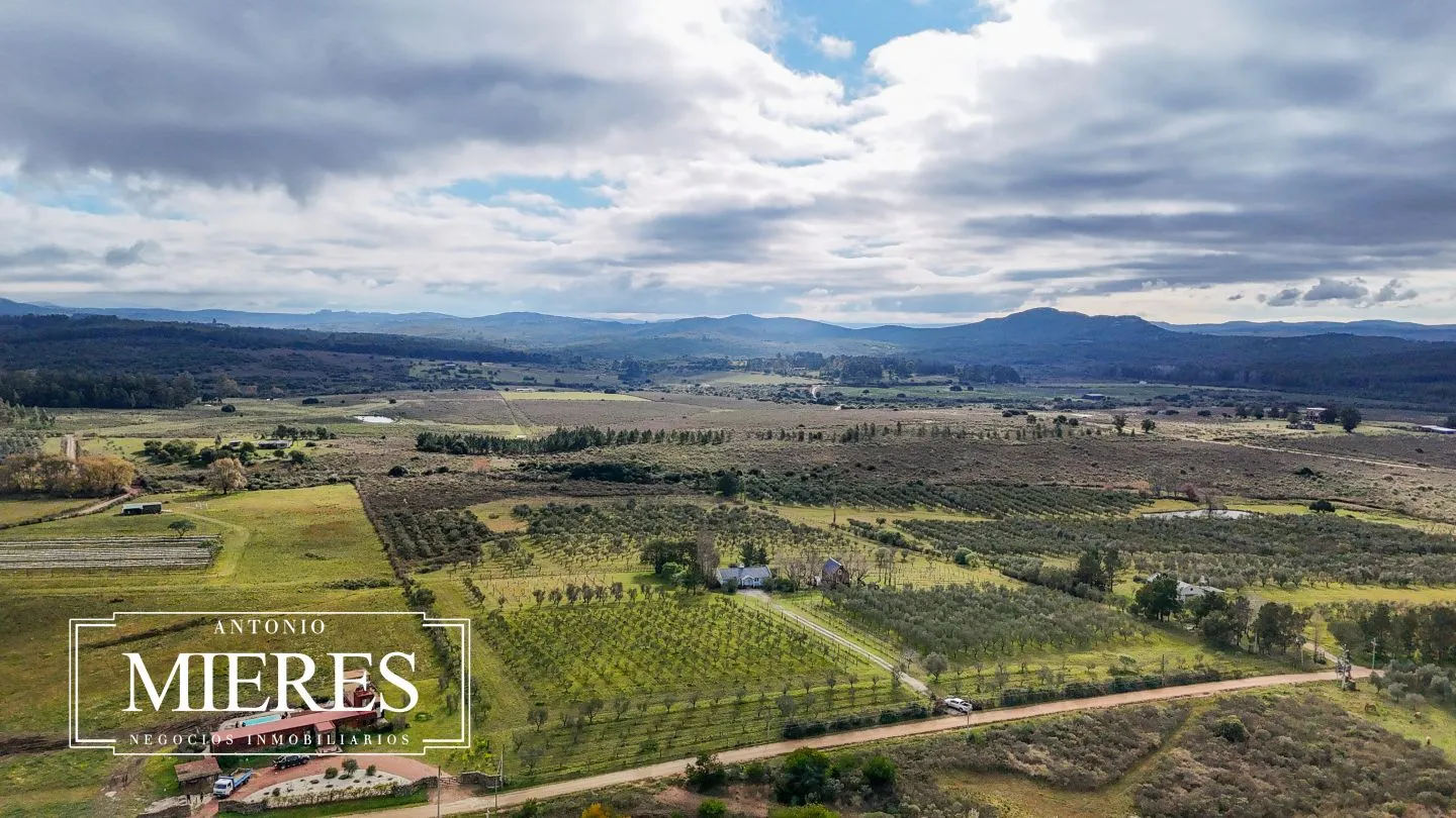 Chacra en venta de 5 ha con vista a sierras las animas — foto 44