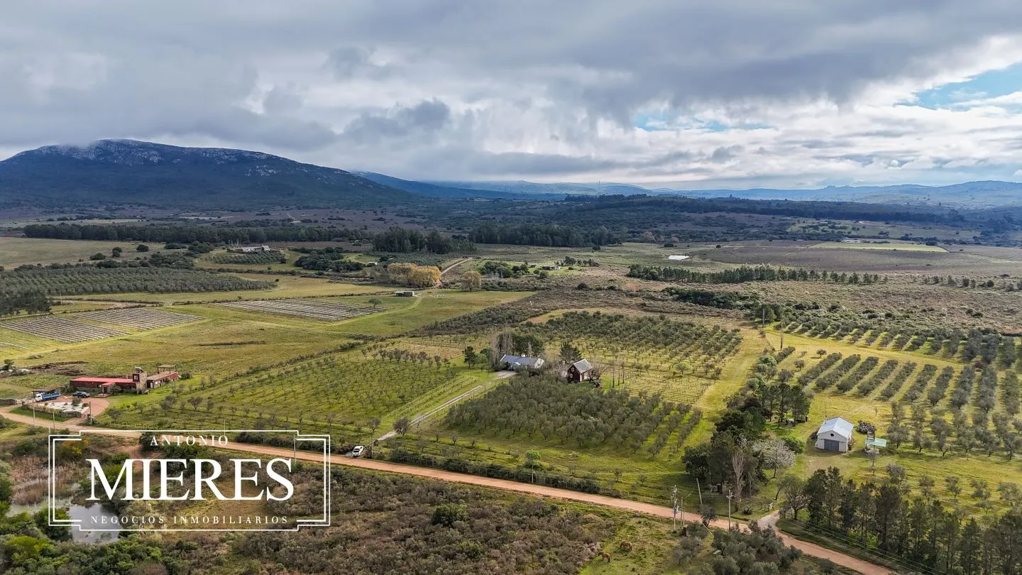 Chacra en venta de 5 ha con vista a sierras las animas — foto 45