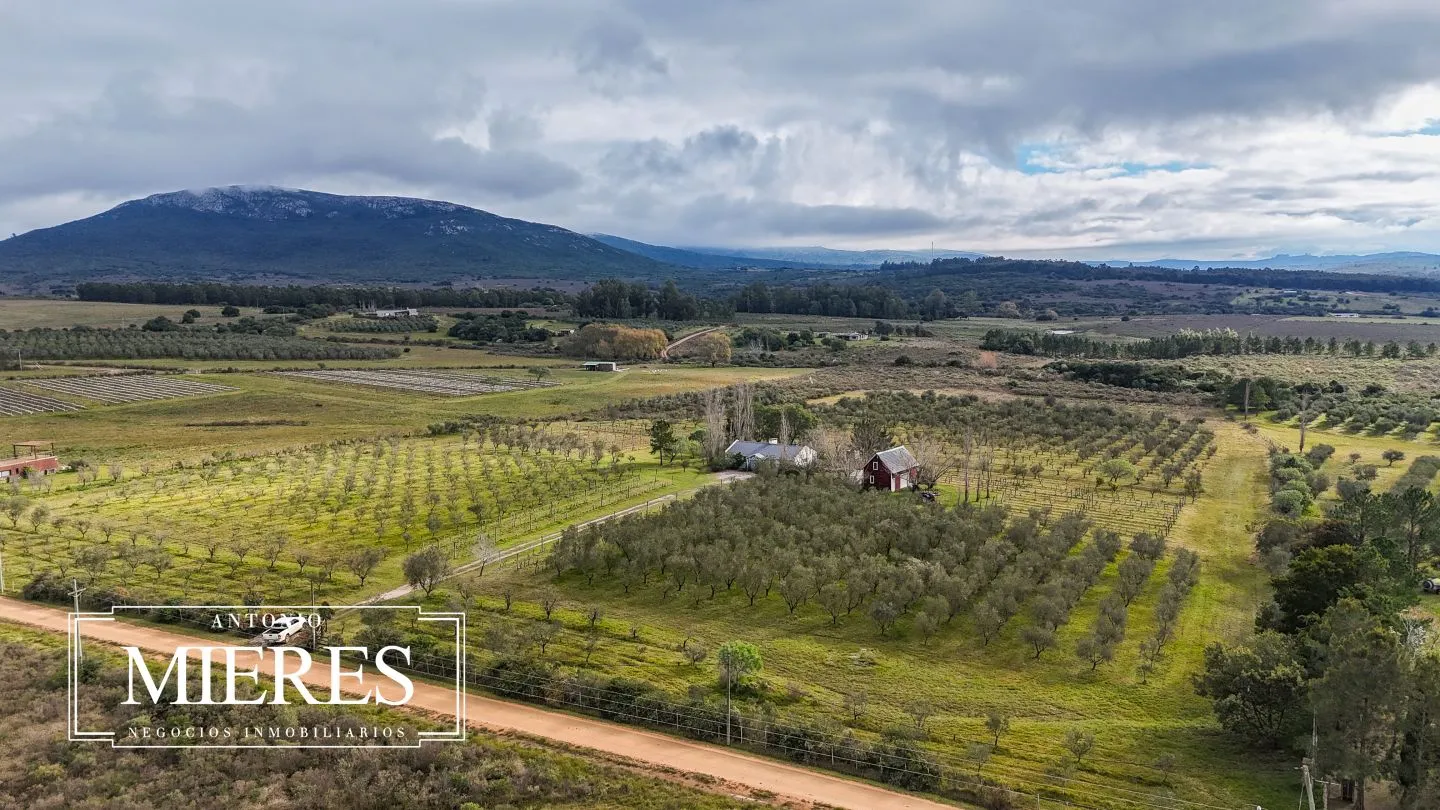 Chacra en venta de 5 ha con vista a sierras las animas — foto 46