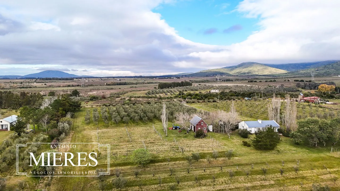 Chacra en venta de 5 ha con vista a sierras las animas — foto 49