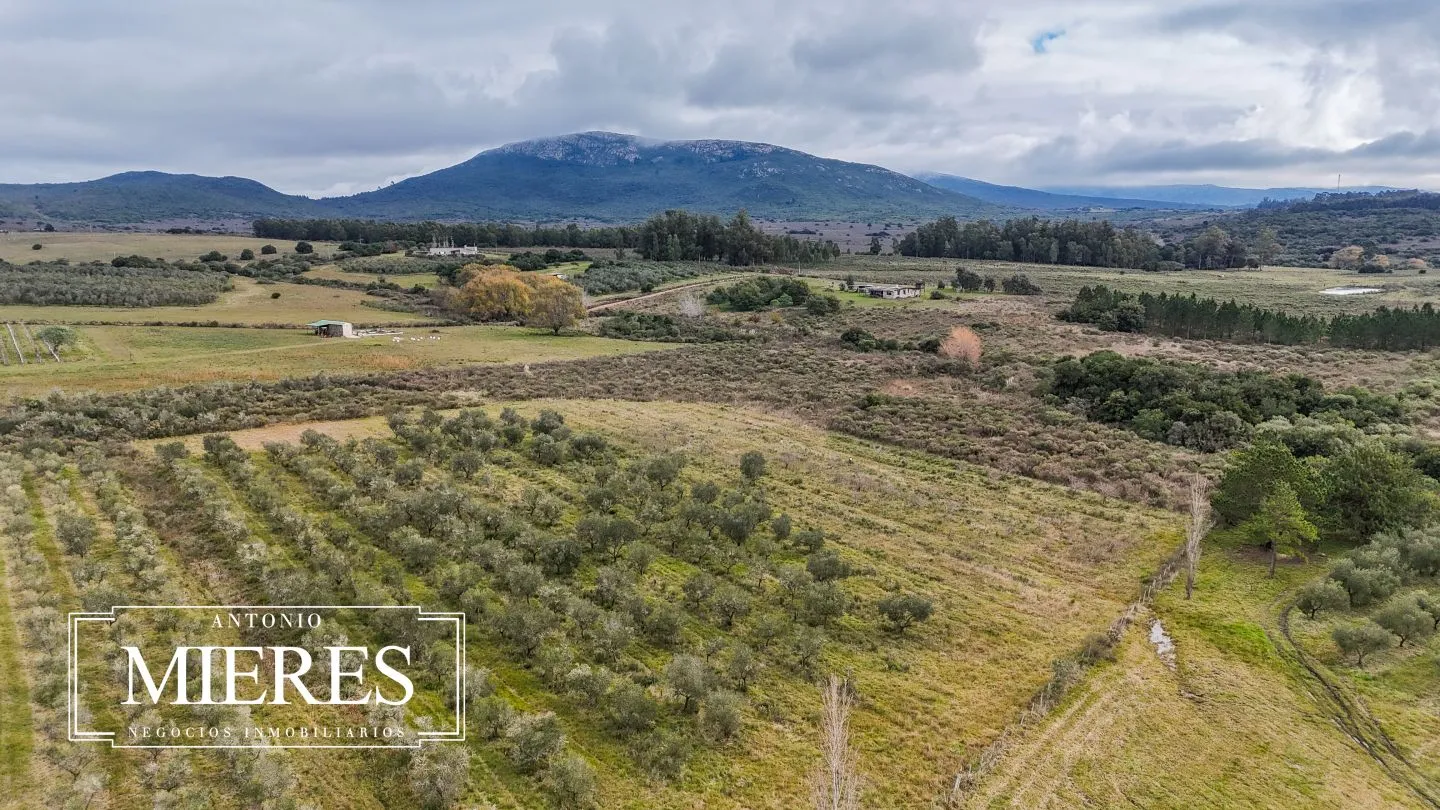 Chacra en venta de 5 ha con vista a sierras las animas — foto 51