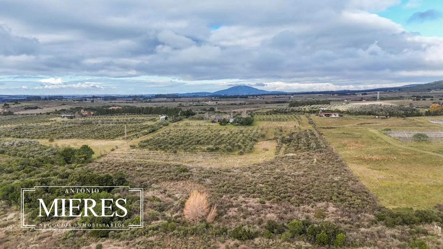 Chacra en venta de 5 ha con vista a sierras las animas — foto 53