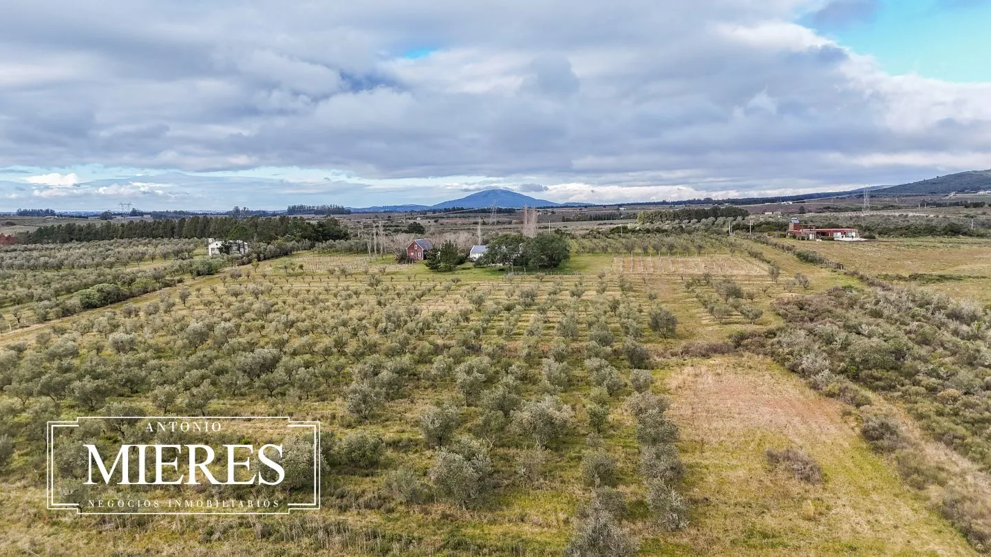 Chacra en venta de 5 ha con vista a sierras las animas — foto 54