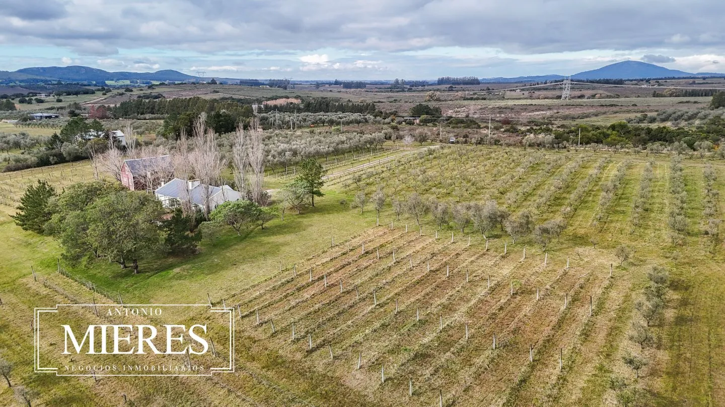 Chacra en venta de 5 ha con vista a sierras las animas — foto 55