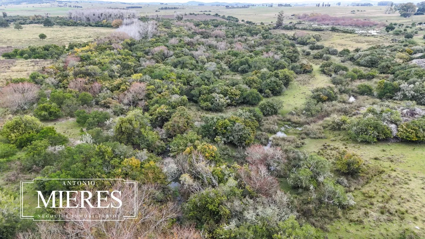 Campo en venta de 14 ha con casa en Aigua, Maldonado Uruguay. — foto 31