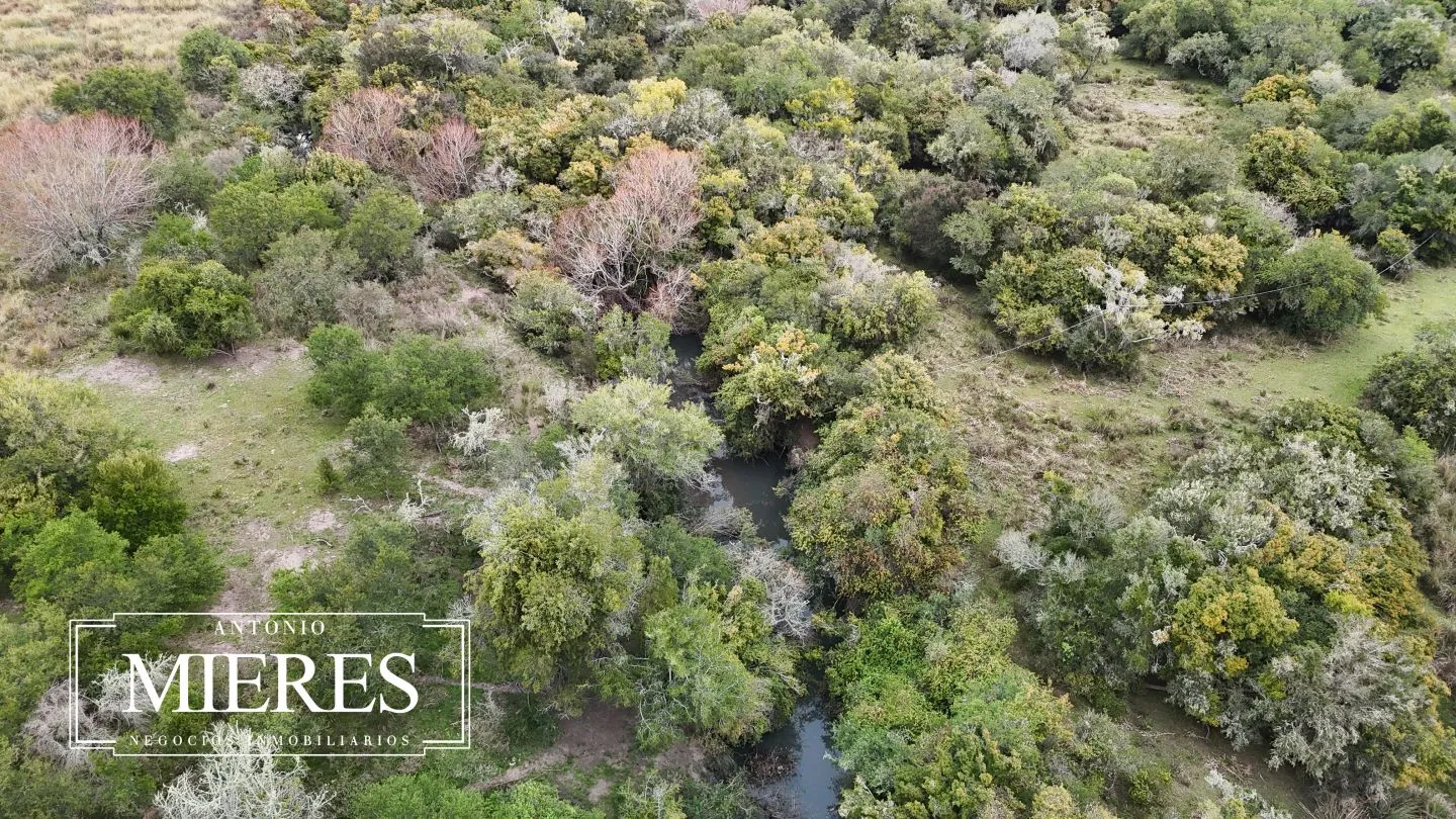 Campo en venta de 14 ha con casa en Aigua, Maldonado Uruguay. — foto 32