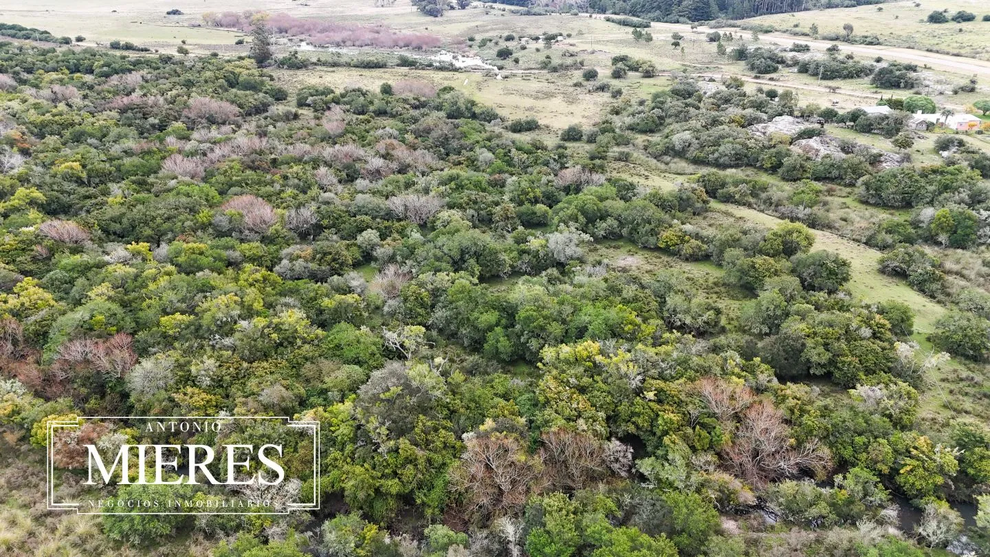 Campo en venta de 14 ha con casa en Aigua, Maldonado Uruguay. — foto 34