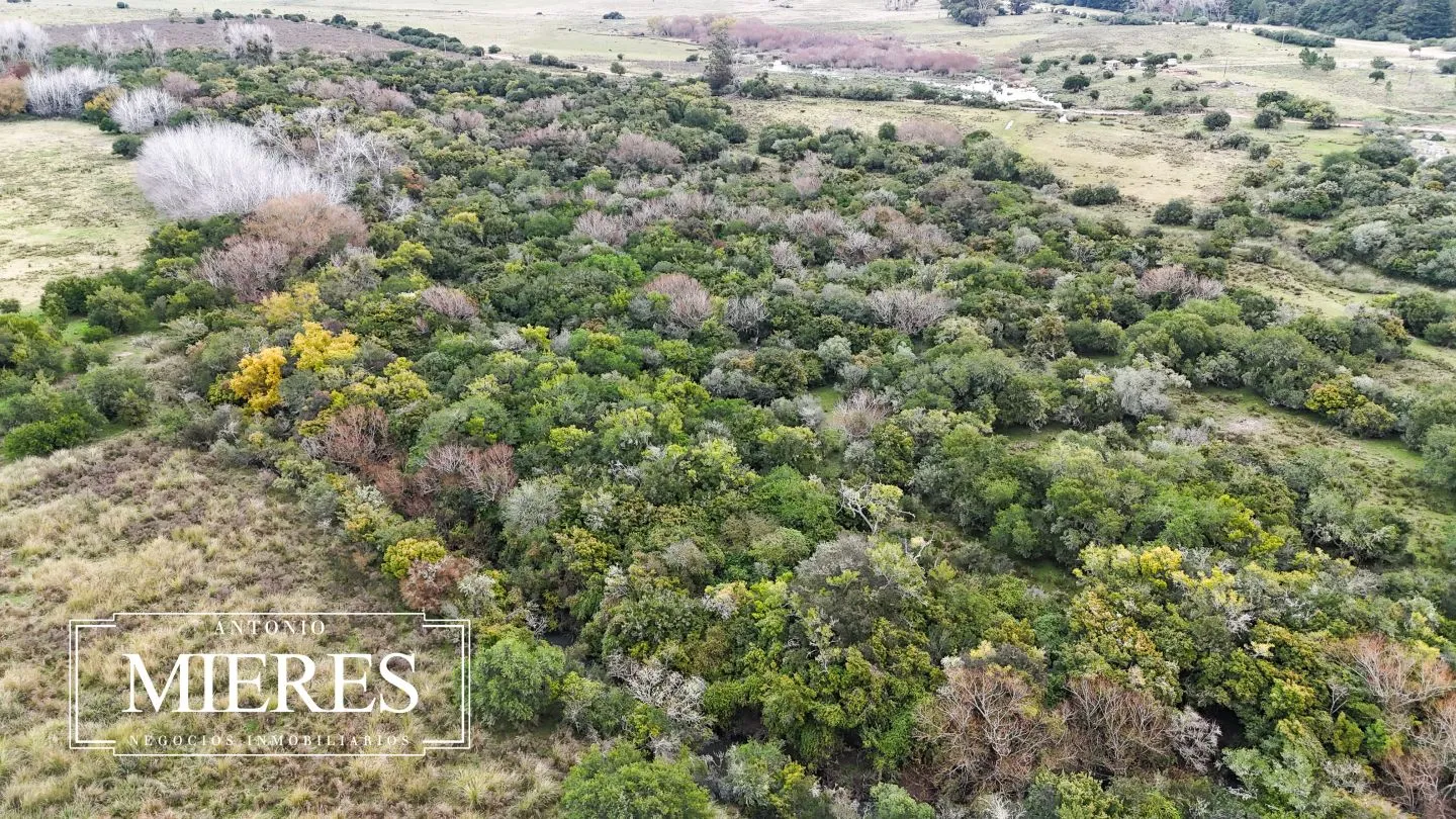 Campo en venta de 14 ha con casa en Aigua, Maldonado Uruguay. — foto 35