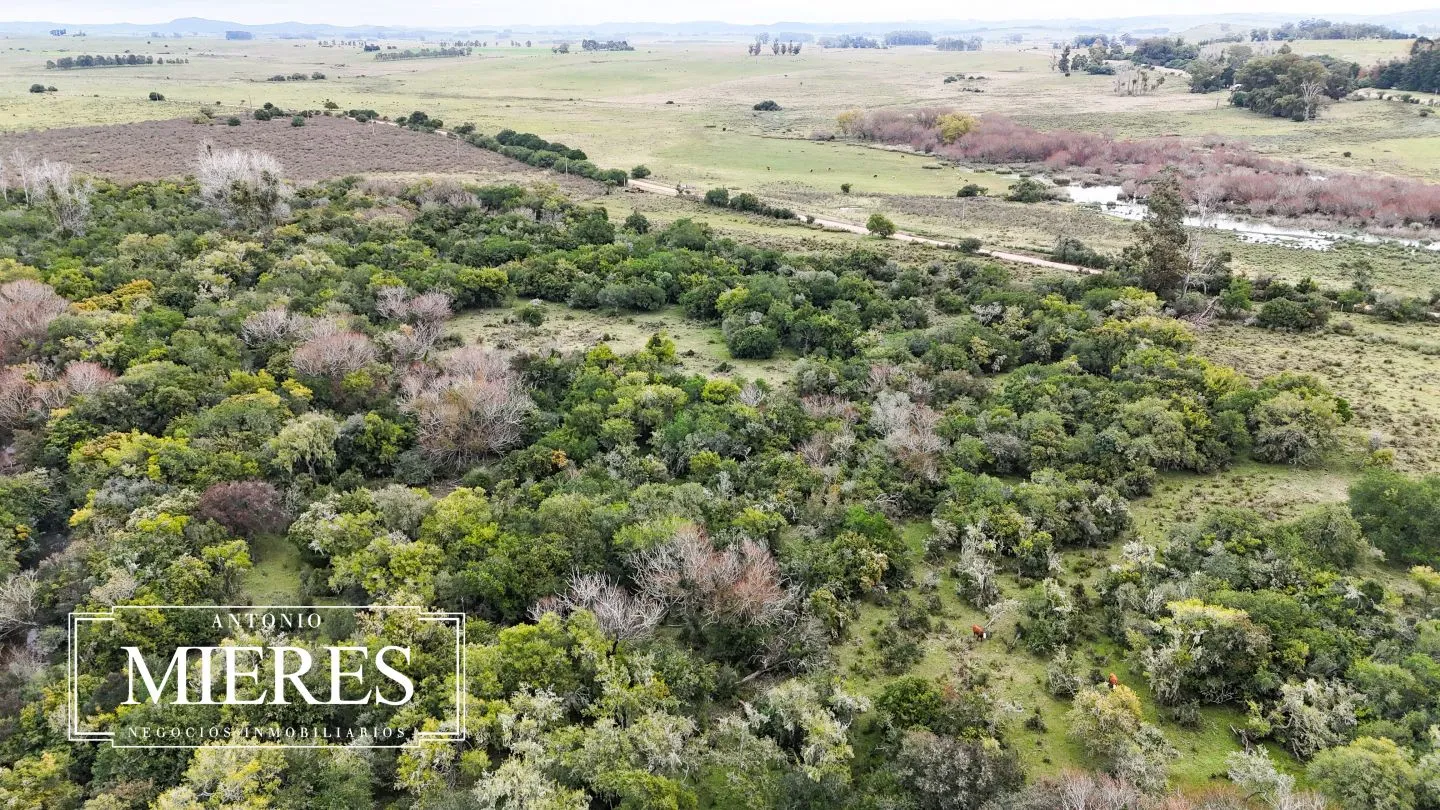 Campo en venta de 14 ha con casa en Aigua, Maldonado Uruguay. — foto 37