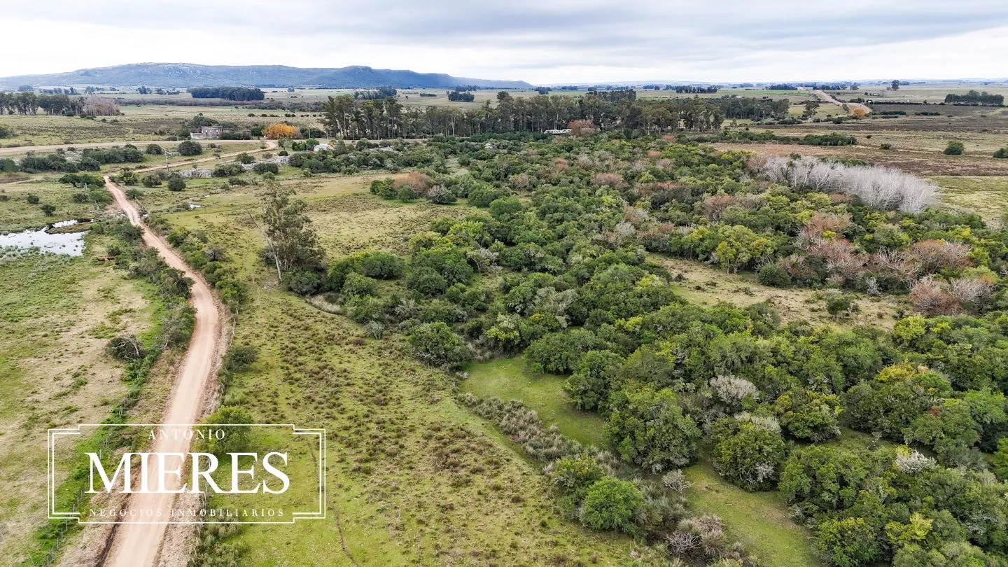 Campo en venta de 14 ha con casa en Aigua, Maldonado Uruguay. — foto 38