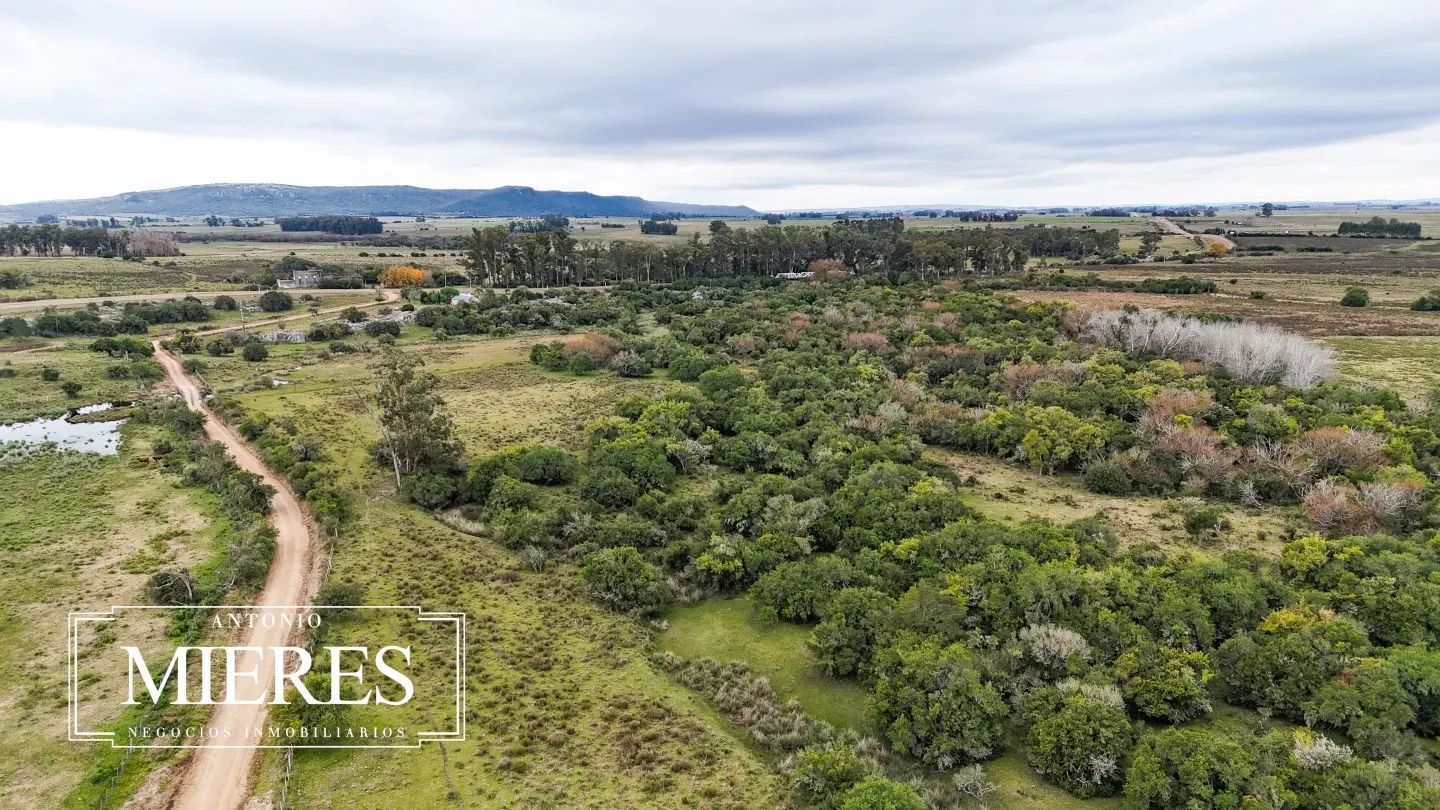 Campo en venta de 14 ha con casa en Aigua, Maldonado Uruguay. — foto 39