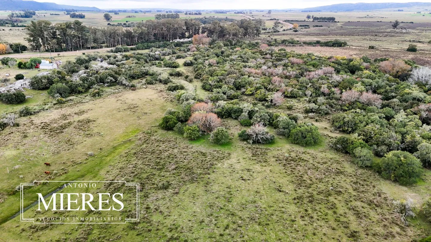 Campo en venta de 14 ha con casa en Aigua, Maldonado Uruguay. — foto 40