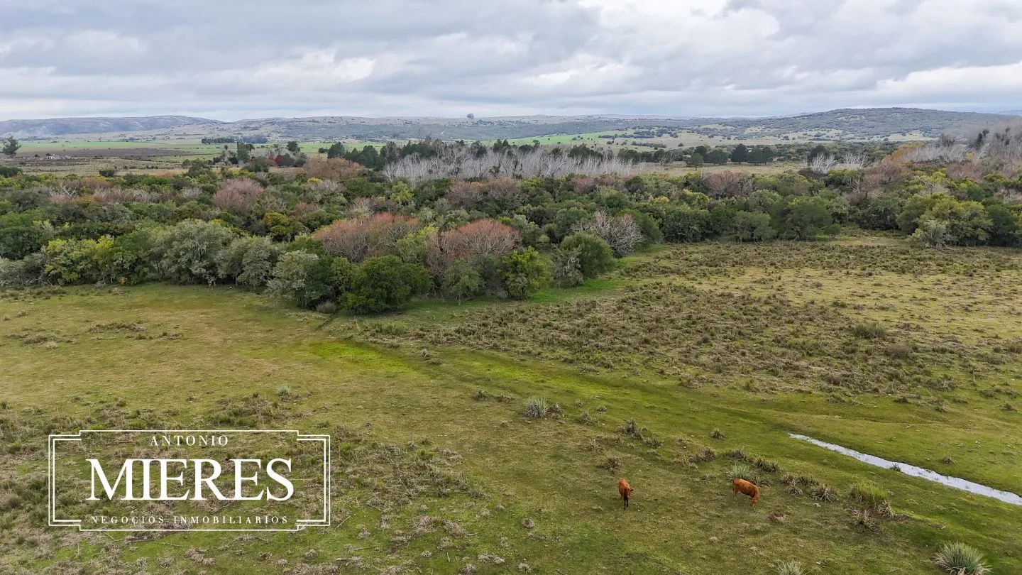 Campo en venta de 14 ha con casa en Aigua, Maldonado Uruguay. — foto 42