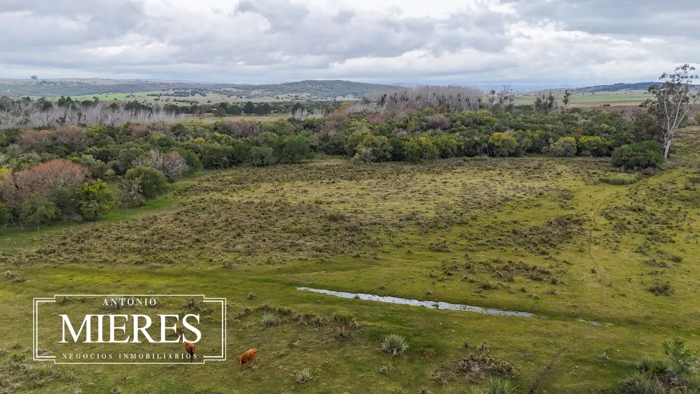 Campo en venta de 14 ha con casa en Aigua, Maldonado Uruguay. — foto 43