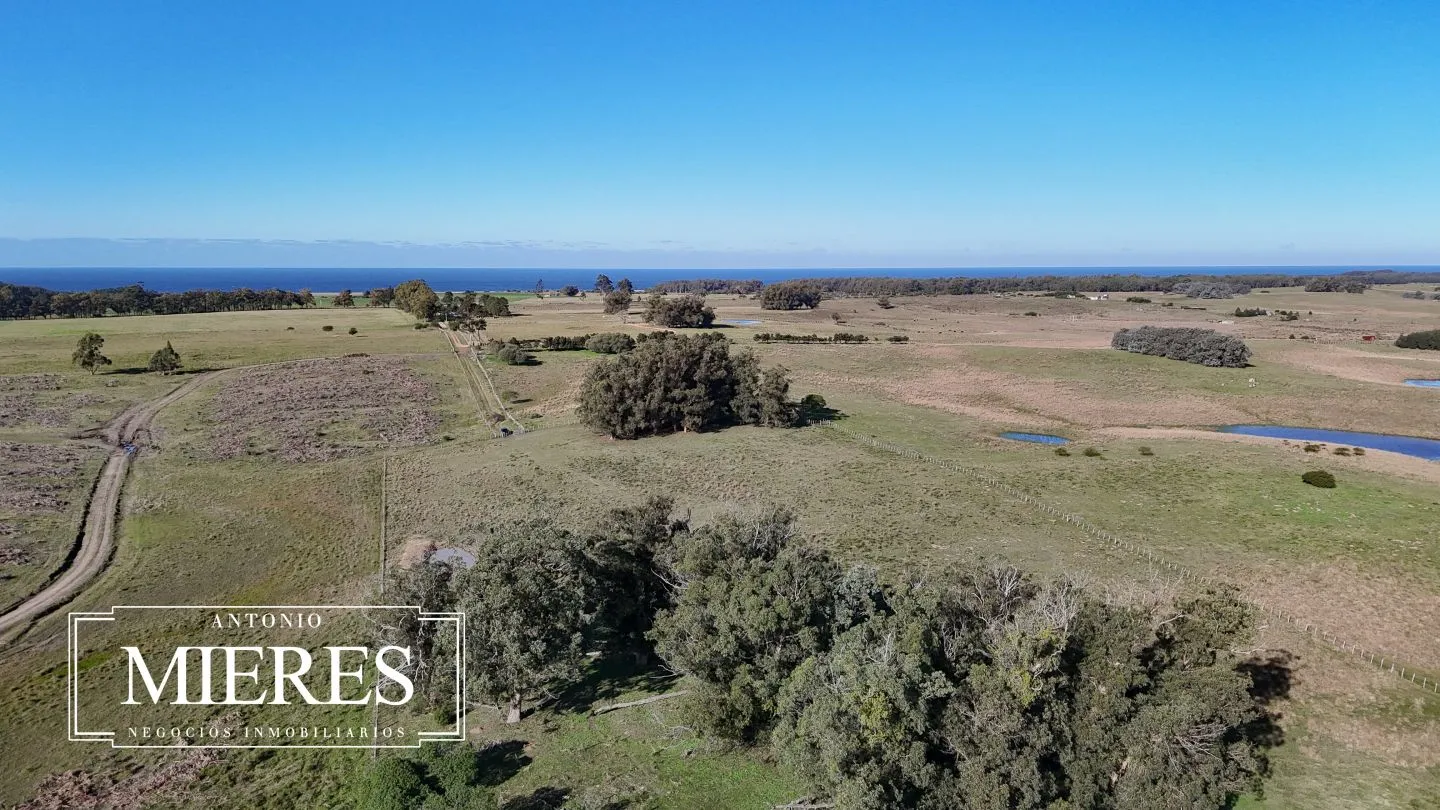 Campo en venta de 24 ha en ruta 10 las Garzas Rocha Uruguay — foto 25
