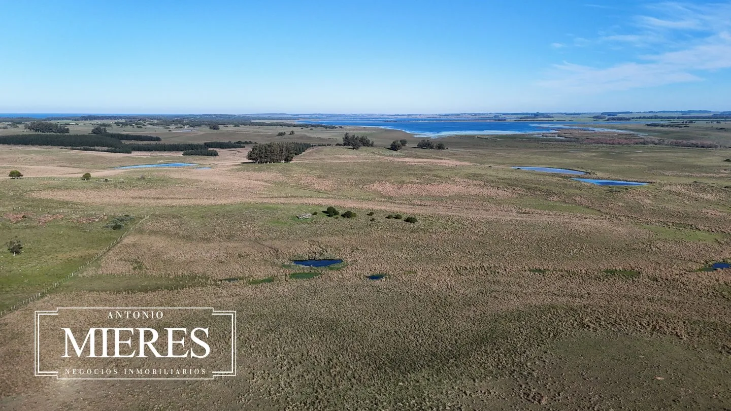 Campo en venta de 24 ha en ruta 10 las Garzas Rocha Uruguay — foto 26