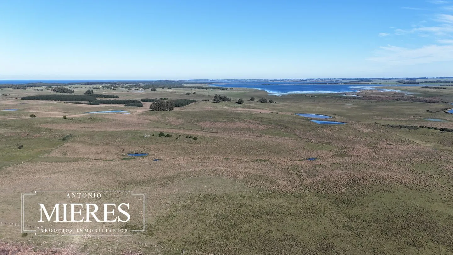 Campo en venta de 24 ha en ruta 10 las Garzas Rocha Uruguay — foto 27