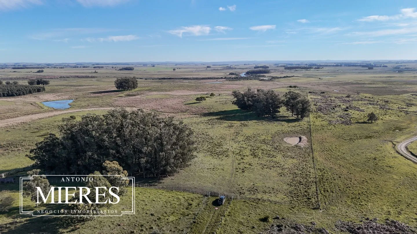 Campo en venta de 24 ha en ruta 10 las Garzas Rocha Uruguay — foto 28