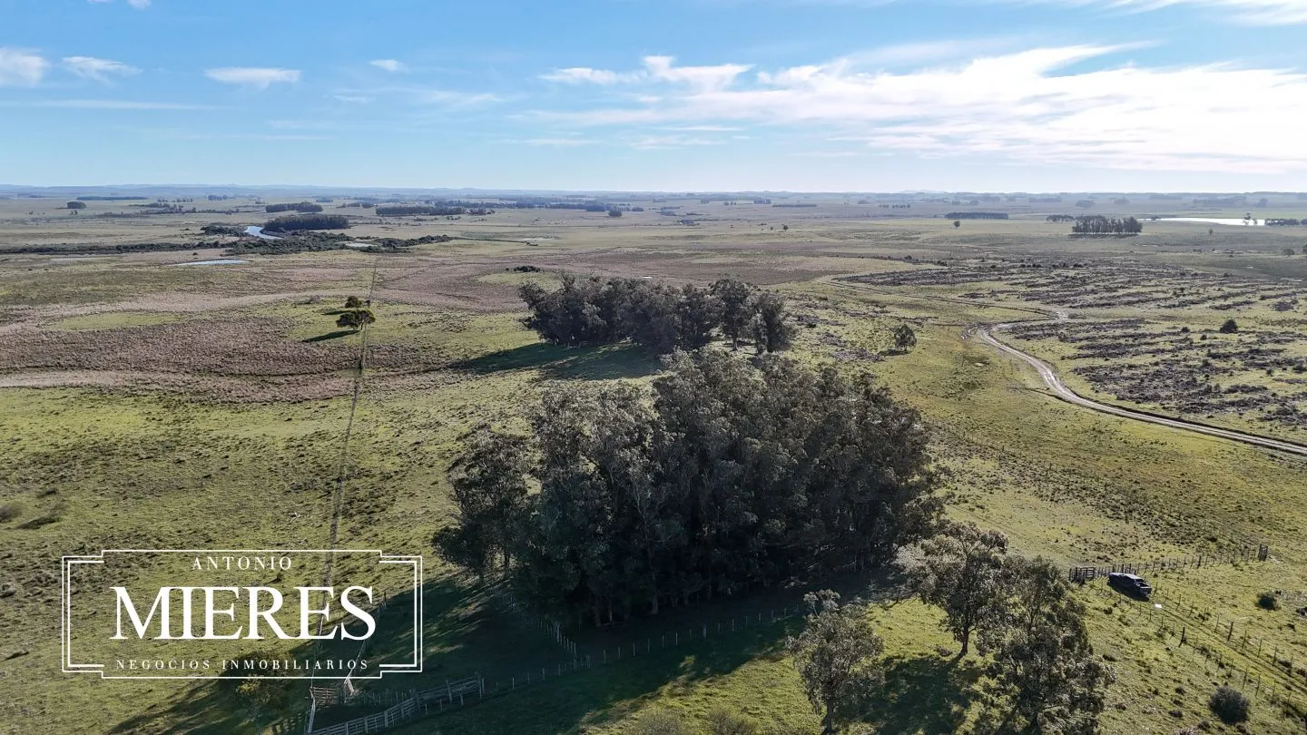 Campo en venta de 24 ha en ruta 10 las Garzas Rocha Uruguay — foto 29