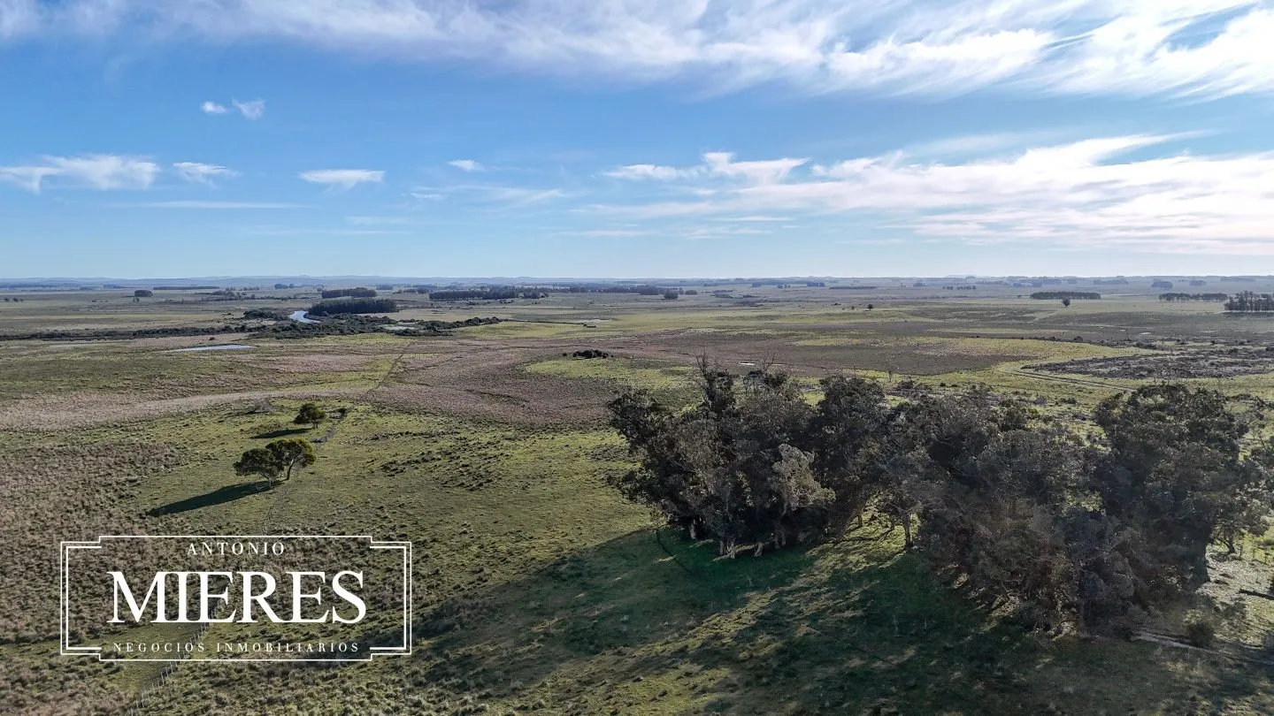 Campo en venta de 24 ha en ruta 10 las Garzas Rocha Uruguay — foto 30