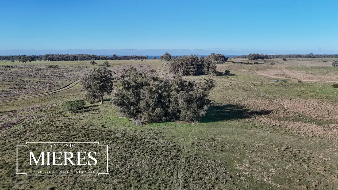 Campo en venta de 24 ha en ruta 10 las Garzas Rocha Uruguay — foto 31
