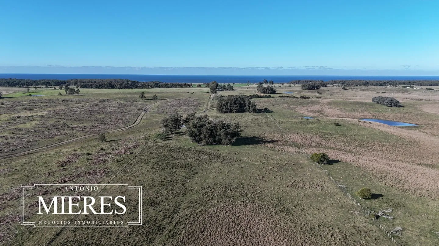 Campo en venta de 24 ha en ruta 10 las Garzas Rocha Uruguay — foto 32
