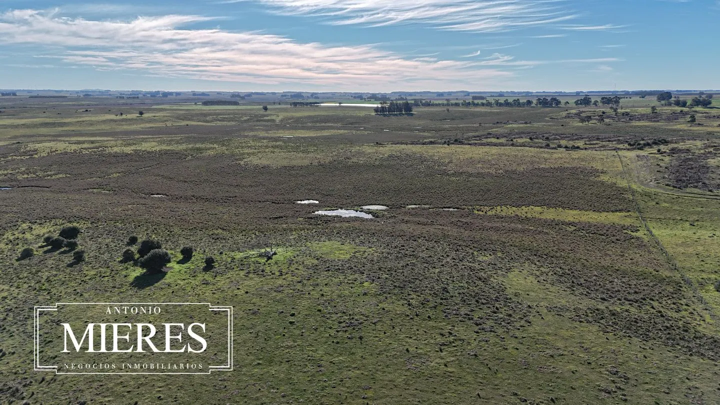 Campo en venta de 24 ha en ruta 10 las Garzas Rocha Uruguay — foto 33