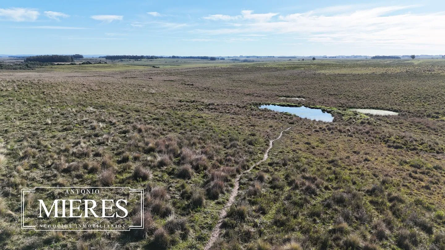 Campo en venta de 24 ha en ruta 10 las Garzas Rocha Uruguay — foto 34