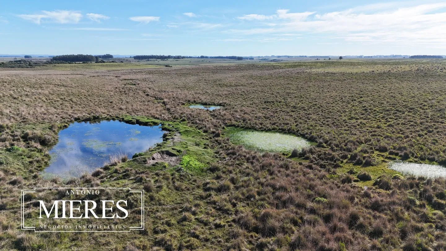 Campo en venta de 24 ha en ruta 10 las Garzas Rocha Uruguay — foto 35