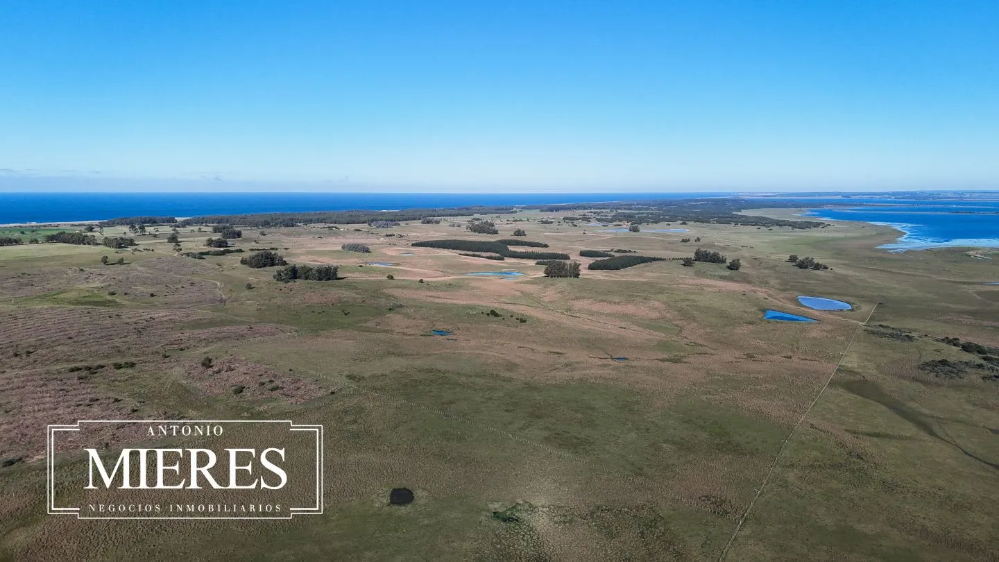 Campo en venta de 24 ha en ruta 10 las Garzas Rocha Uruguay — foto 36