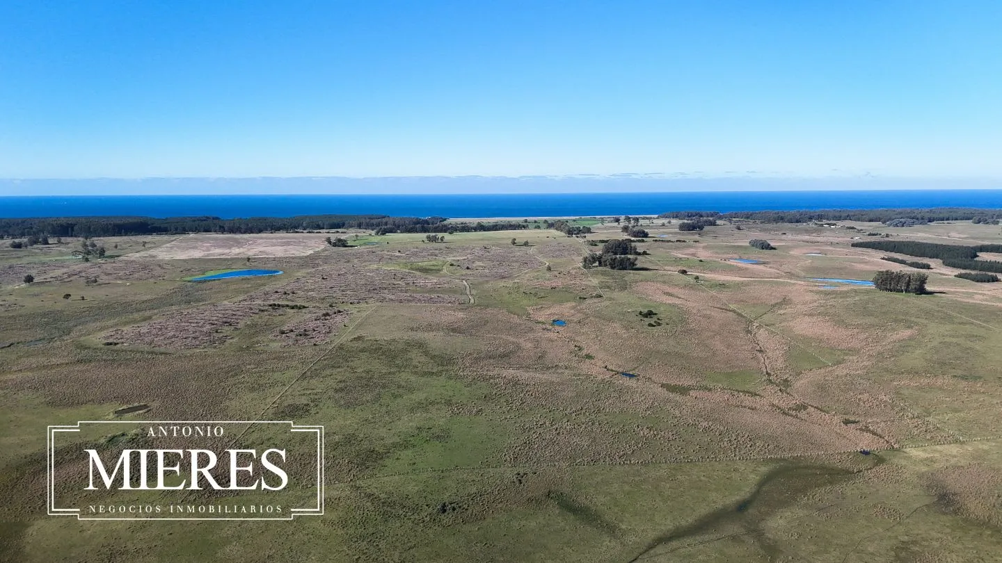Campo en venta de 24 ha en ruta 10 las Garzas Rocha Uruguay — foto 37