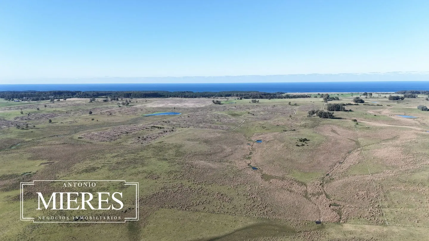 Campo en venta de 24 ha en ruta 10 las Garzas Rocha Uruguay — foto 38