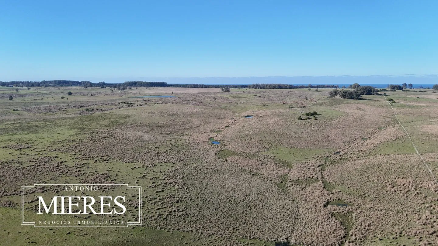Campo en venta de 24 ha en ruta 10 las Garzas Rocha Uruguay — foto 39