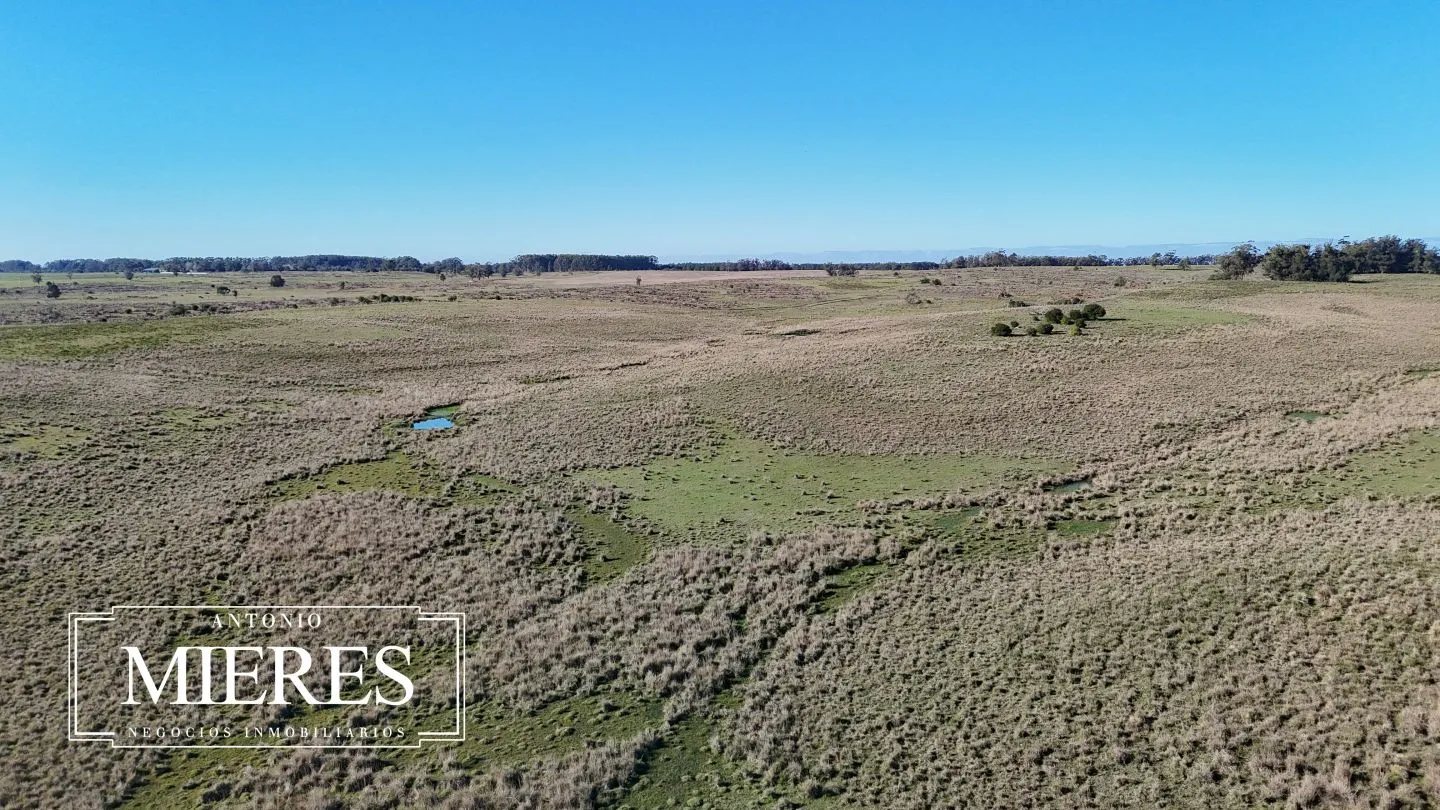 Campo en venta de 24 ha en ruta 10 las Garzas Rocha Uruguay — foto 40