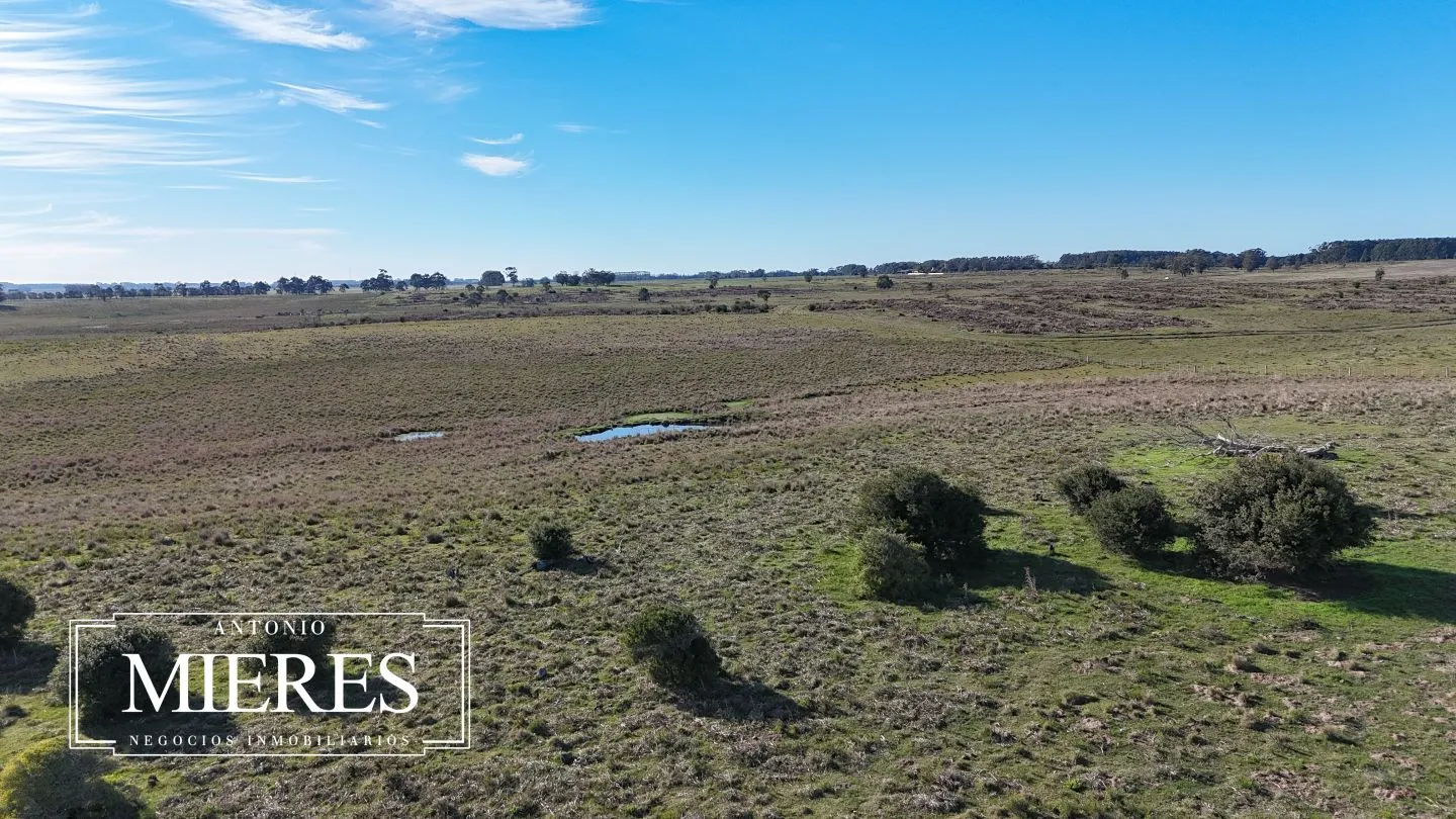Campo en venta de 24 ha en ruta 10 las Garzas Rocha Uruguay — foto 41
