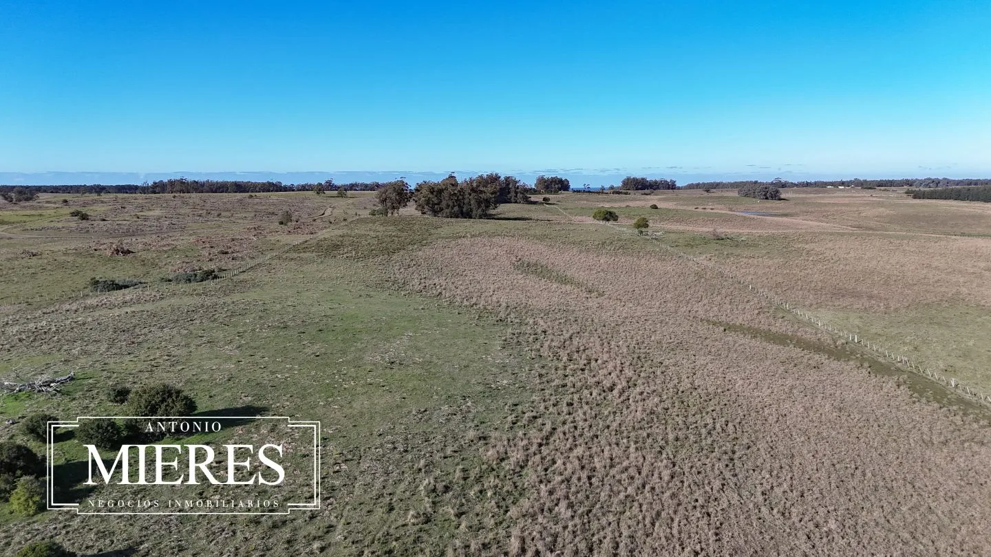 Campo en venta de 24 ha en ruta 10 las Garzas Rocha Uruguay — foto 42