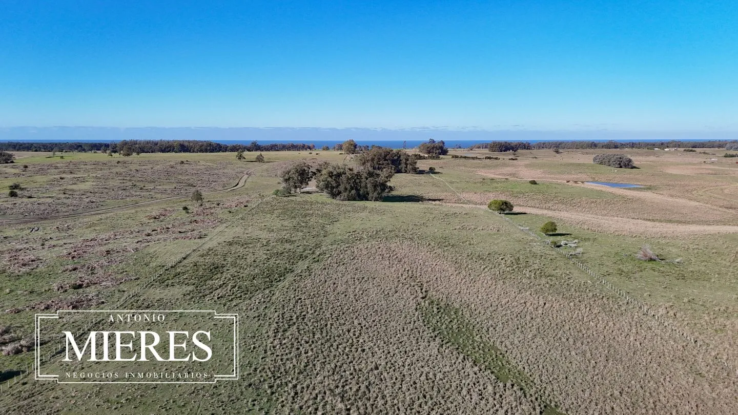 Campo en venta de 24 ha en ruta 10 las Garzas Rocha Uruguay — foto 43