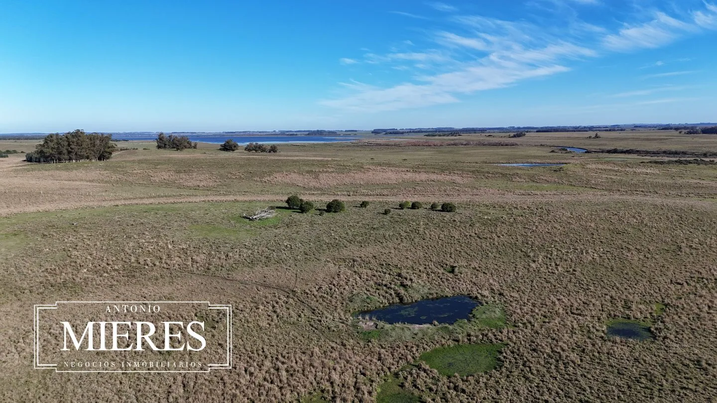 Campo en venta de 24 ha en ruta 10 las Garzas Rocha Uruguay — foto 44