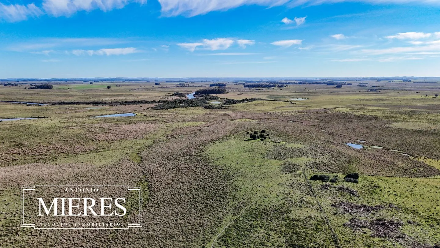 Campo en venta de 24 ha en ruta 10 las Garzas Rocha Uruguay — foto 45