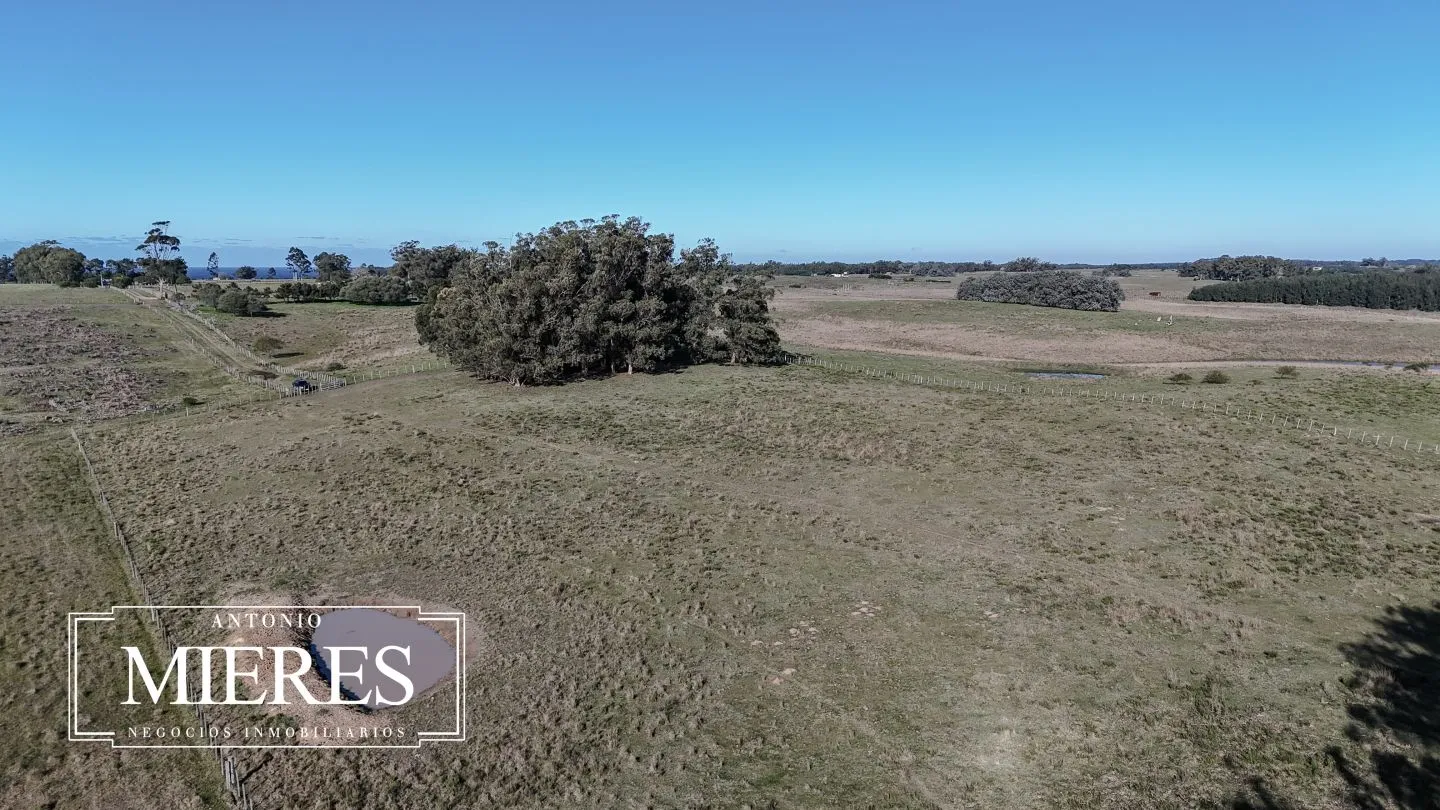 Campo en venta de 24 ha en ruta 10 las Garzas Rocha Uruguay — foto 46