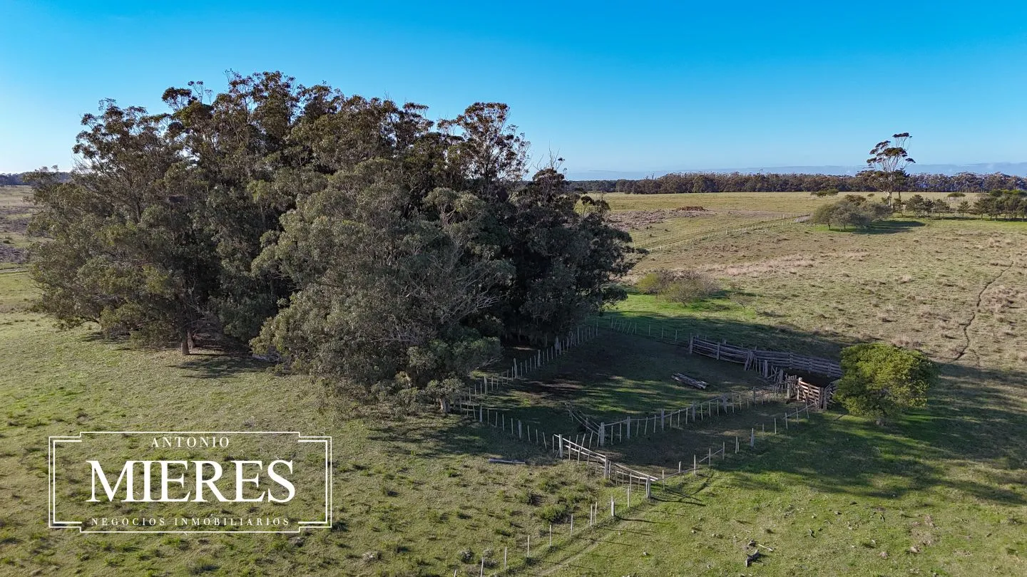 Campo en venta de 24 ha en ruta 10 las Garzas Rocha Uruguay — foto 47
