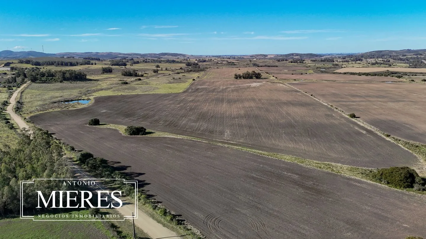 Campo de 17 ha en venta puntas de Laguna del Sauce — foto 15