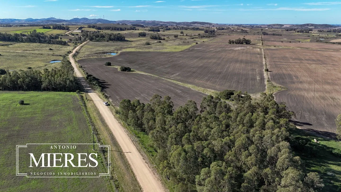 Campo de 17 ha en venta puntas de Laguna del Sauce — foto 16