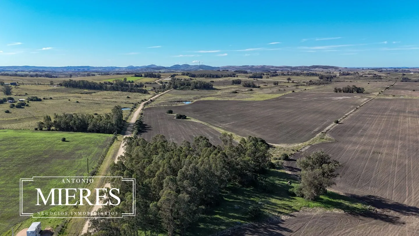 Campo de 17 ha en venta puntas de Laguna del Sauce — foto 17